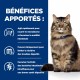 Alimentation pour chat - HILL'S Prescription Diet Gastrointestinal Biome en Mijotés au Poulet - Pâtée pour chat pour chats
