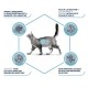 Alimentation pour chat - ADVANCE Veterinary Diets Gastroenteric Sensitive pour chats