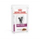 Alimentation pour chat - Royal Canin Veterinary Early Renal pour chats
