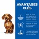 Alimentation pour chien - Hill's Science Plan Perfect Weight Adult Small & Mini pour chiens