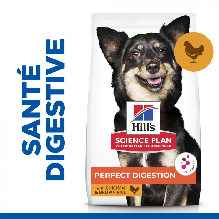 Alimentation pour chien - HILL'S Science Plan Perfect Digestion Small & Mini Adult au Poulet - Croquettes pour chien pour chiens