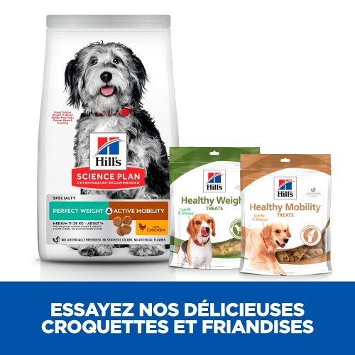 Alimentation pour chien - Hill's Science Plan Perfect Weight & Active Mobility Adult Medium pour chiens