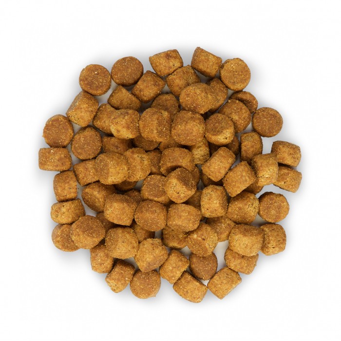 Alimentation pour chien - HILL'S Science Plan Large Puppy au Poulet - Croquettes pour chiot pour chiens