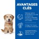 Boutique senior - HILL'S Science Plan Senior Vitality Small & Mini Mature Adult 7+ au Poulet - Croquettes pour chien  pour chiens