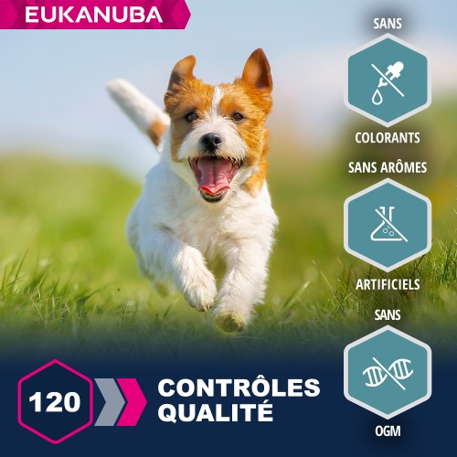 Alimentation pour chien - Eukanuba Adult Small & Medium Breed - Saumon et orge pour chiens