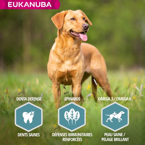 Alimentation pour chien - Eukanuba Adult Small & Medium Breed - Saumon et orge pour chiens