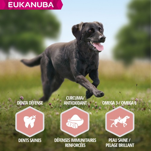 Alimentation pour chien - Eukanuba Senior Large Breed - Agneau et riz pour chiens