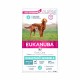 Alimentation pour chien - Eukanuba Daily Care Sensitive Digestion pour chiens