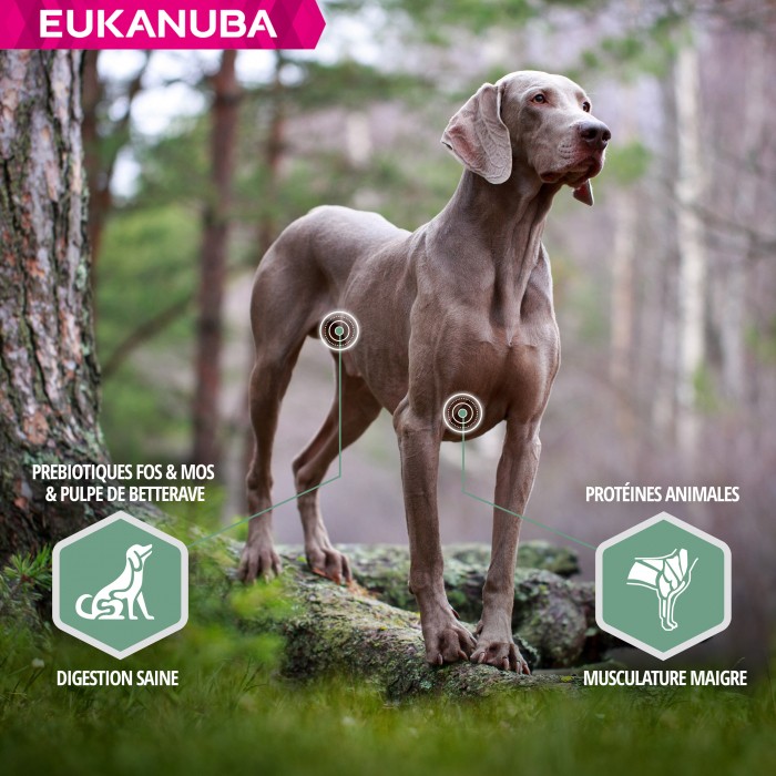 Alimentation pour chien - Eukanuba Daily Care Sensitive Joints pour chiens
