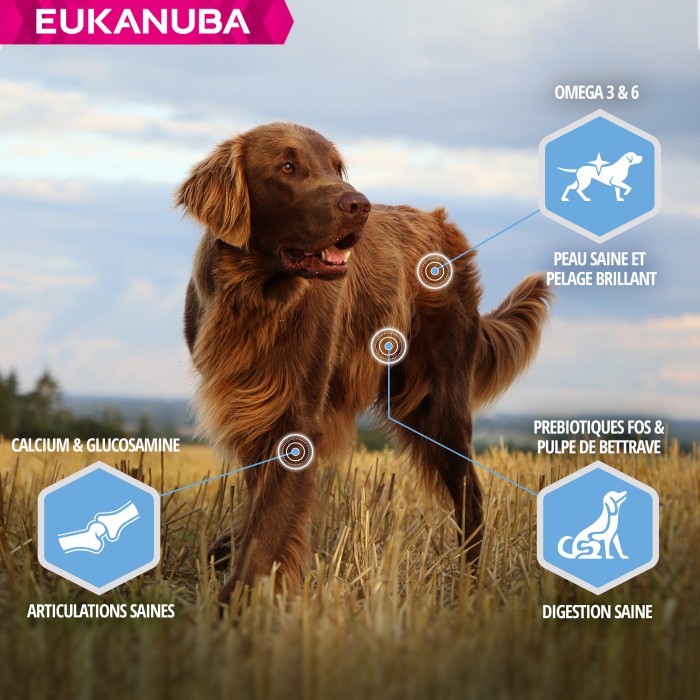 Alimentation pour chien - Eukanuba Daily Care Weight Control Large Breed pour chiens