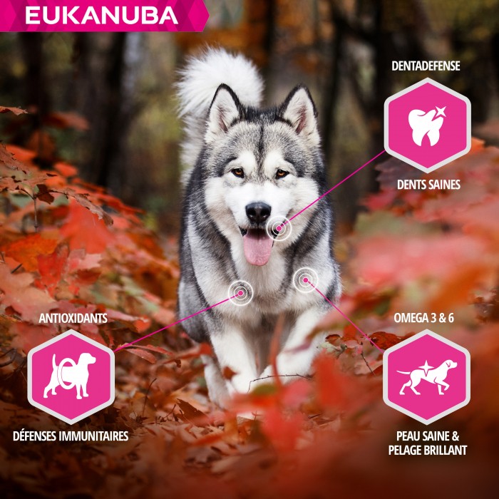 Alimentation pour chien - Eukanuba Daily Care Working & Endurance pour chiens
