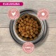 Alimentation pour chien - Eukanuba Senior Small Breed - Poulet pour chiens