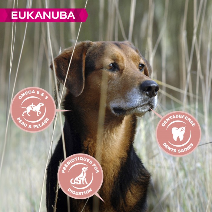 Alimentation pour chien - Eukanuba Senior Medium Breed - Poulet pour chiens