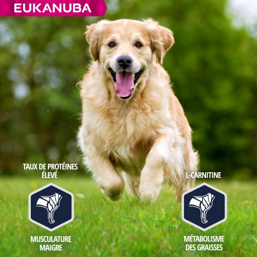 Care Friday - Eukanuba Breed Specific Golden Retriever pour chiens