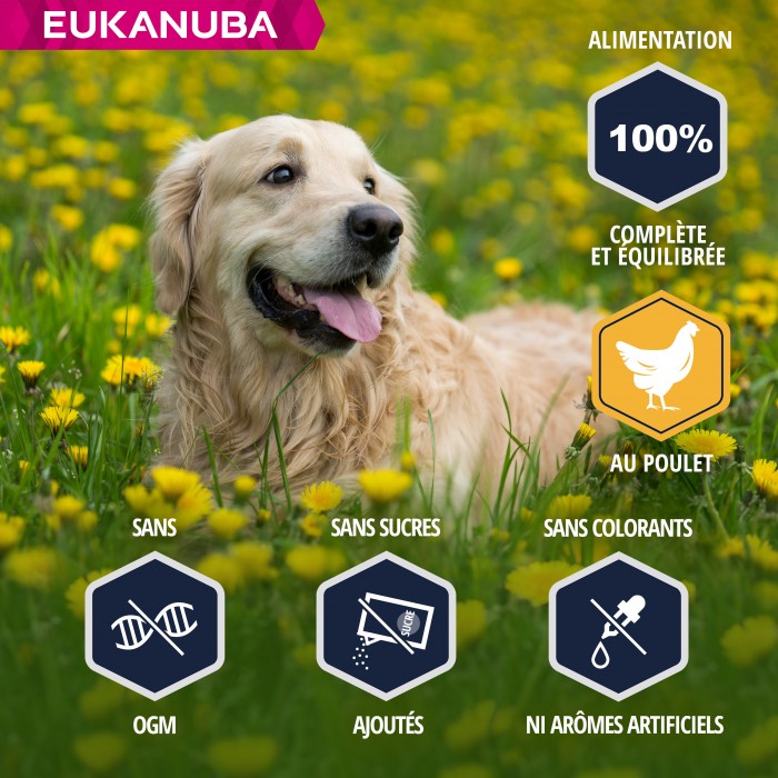 Alimentation pour chien - Eukanuba Breed Specific Golden Retriever pour chiens