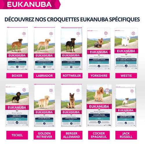 Alimentation pour chien - Eukanuba Breed Specific Cocker Spaniel pour chiens