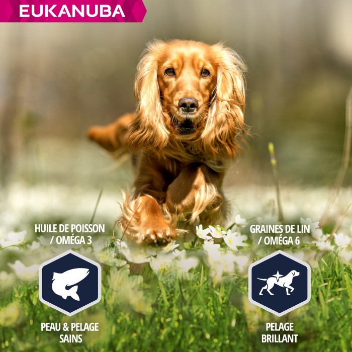 Alimentation pour chien - Eukanuba Breed Specific Cocker Spaniel pour chiens