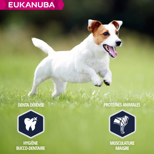 Alimentation pour chien - Eukanuba Breed Specific Jack Russel pour chiens