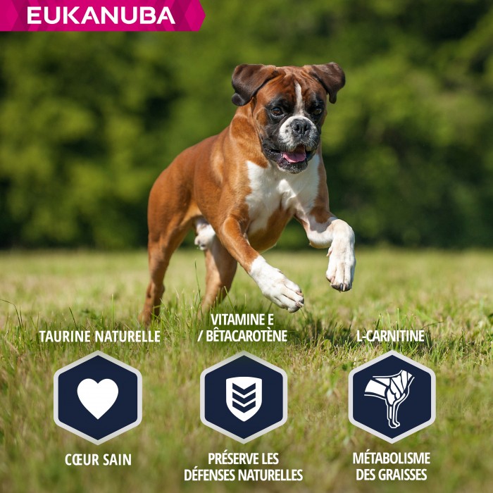 Alimentation pour chien - Eukanuba Breed Specific Boxer pour chiens