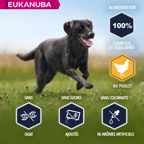 Care Friday - Eukanuba Breed Specific Labrador Retriever pour chiens