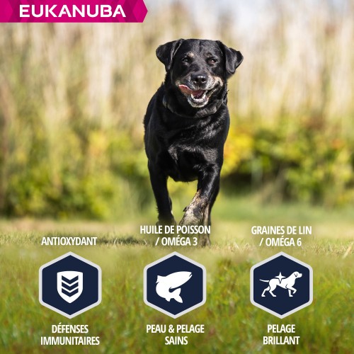 Alimentation pour chien - Eukanuba Breed Specific Labrador Retriever pour chiens