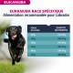 Alimentation pour chien - Eukanuba Breed Specific Labrador Retriever pour chiens
