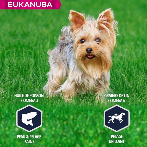 Alimentation pour chien - Eukanuba Breed Specific Yorkshire Terrier pour chiens