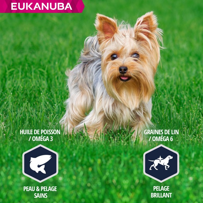 Care Friday - Eukanuba Breed Specific Yorkshire Terrier pour chiens