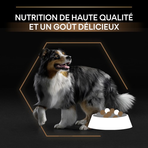 Alimentation pour chien - PRO PLAN Duo Delice Medium & Large Adult - Croquettes pour chien pour chiens