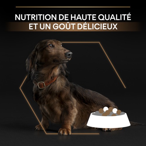 Alimentation pour chien - PRO PLAN Duo Delice Small & Mini Adult - Croquettes pour chien pour chiens