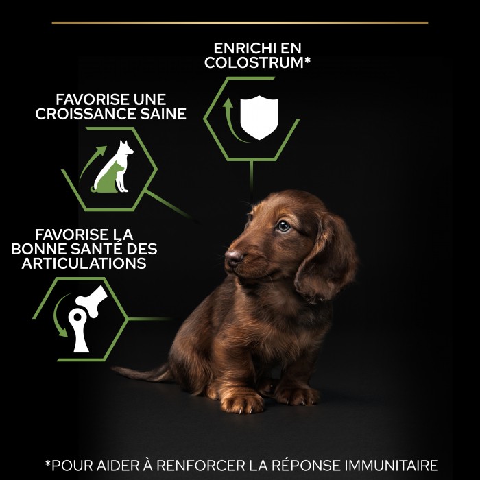 Alimentation pour chien - PRO PLAN Healthy Start Small & Mini Puppy au Poulet - Croquettes pour chien pour chiens