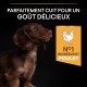 Alimentation pour chien - PRO PLAN Healthy Start Small & Mini Puppy au Poulet - Croquettes pour chien pour chiens