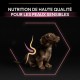 Alimentation pour chien - PRO PLAN Sensitive Skin Small & Mini Puppy au Saumon - Croquettes pour chien pour chiens