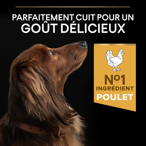 Alimentation pour chien - PRO PLAN Everyday Nutrition Small & Mini Adult au Poulet - Croquettes pour chien pour chiens