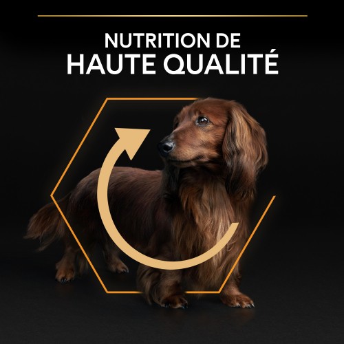 Care Friday - PRO PLAN Everyday Nutrition Small & Mini Adult au Poulet - Croquettes pour chien pour chiens