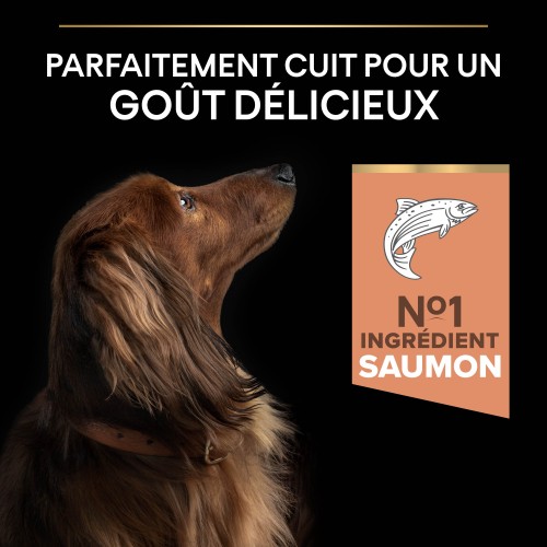 Care Friday - PRO PLAN Sensitive Skin Small & Mini Adult au Saumon - Croquettes pour chien pour chiens