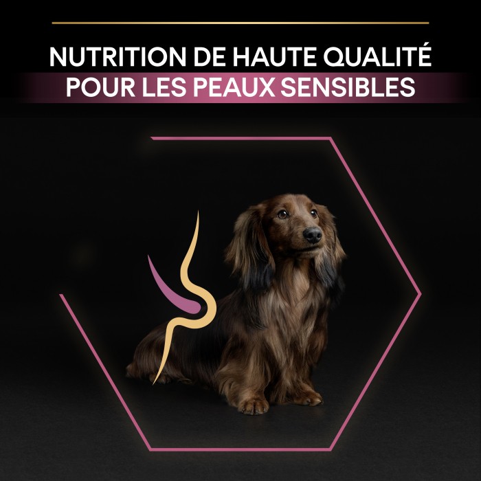 Care Friday - PRO PLAN Sensitive Skin Small & Mini Adult au Saumon - Croquettes pour chien pour chiens