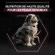 Alimentation pour chien - PRO PLAN Sensitive Skin Medium Puppy au Saumon - Croquettes pour chien pour chiens
