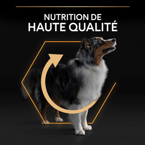 Alimentation pour chien - PRO PLAN Everyday Nutrition Medium Adult au Poulet - Croquettes pour chien pour chiens