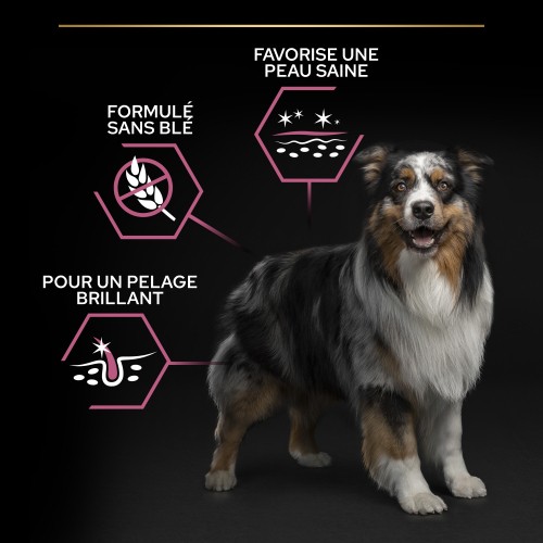 Care Friday - PRO PLAN Sensitive Skin Medium Adult au Saumon - Croquettes pour chien pour chiens