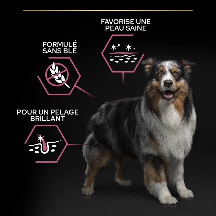 Alimentation pour chien - PRO PLAN Sensitive Skin Medium Adult au Saumon - Croquettes pour chien pour chiens