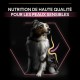 Alimentation pour chien - PRO PLAN Sensitive Skin Medium & Large Adult au Saumon - Croquettes pour chien pour chiens