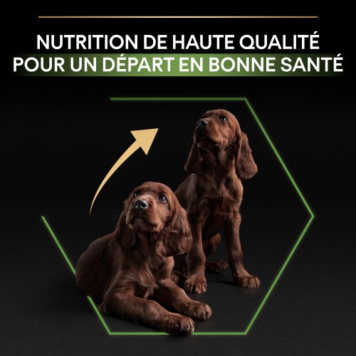 Alimentation pour chien - PRO PLAN Healthy Start Large Athletic Puppy au Poulet - Croquettes pour chien pour chiens