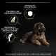 Alimentation pour chien - PRO PLAN Healthy Start Large Robust Puppy au Poulet - Croquettes pour chien pour chiens