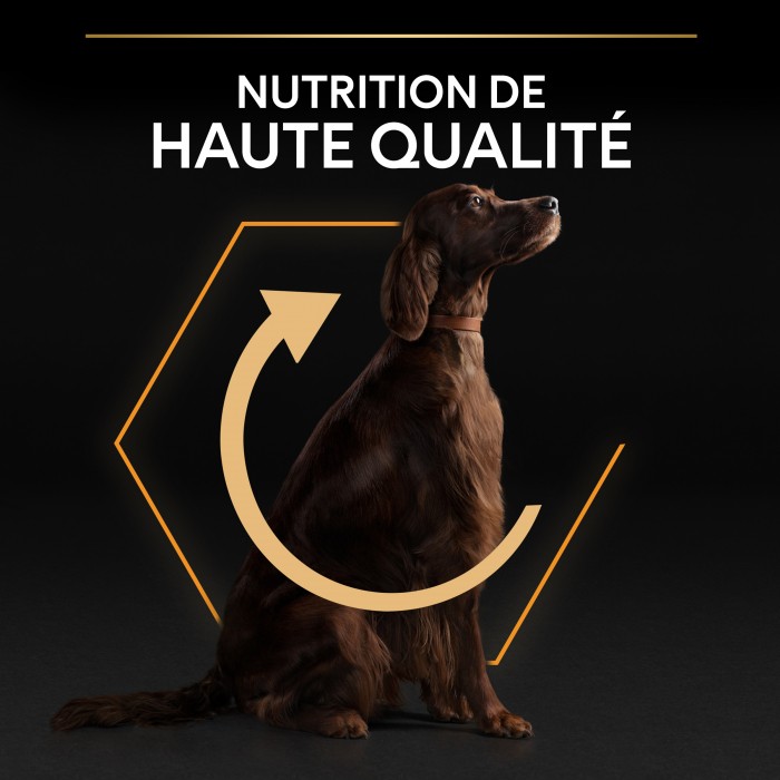 Alimentation pour chien - PRO PLAN Everyday Nutrition Large Athletic Adult au Poulet - Croquettes pour chien pour chiens