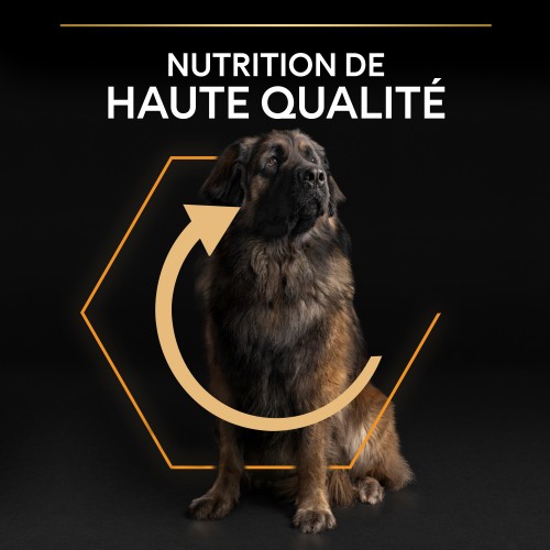Alimentation pour chien - PRO PLAN Everyday Nutrition Large Robust Adult au Poulet - Croquettes pour chien pour chiens
