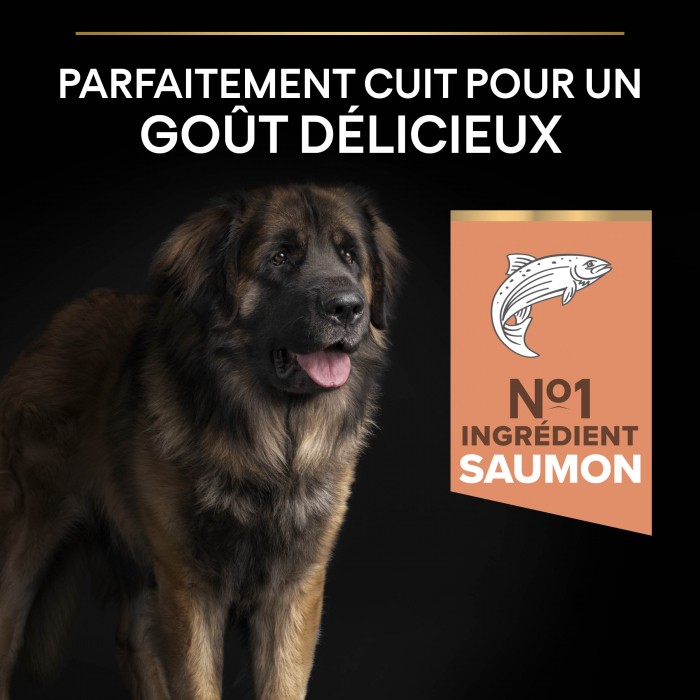 Alimentation pour chien - PRO PLAN Sensitive Skin Large Robust Adult au Saumon - Croquettes pour chien pour chiens