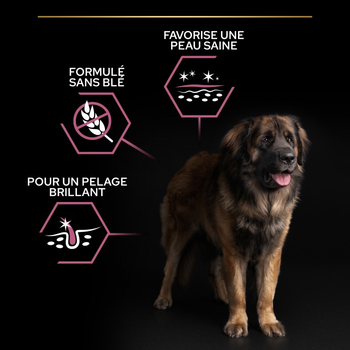 Care Friday - PRO PLAN Sensitive Skin Large Robust Adult au Saumon - Croquettes pour chien pour chiens