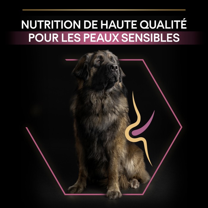 Alimentation pour chien - PRO PLAN Sensitive Skin Large Robust Adult au Saumon - Croquettes pour chien pour chiens
