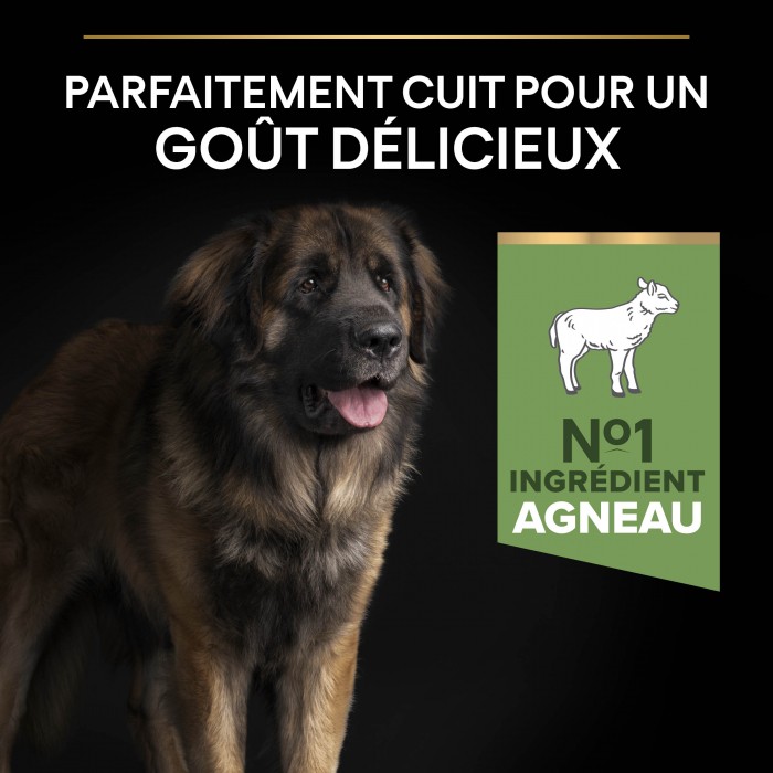 Alimentation pour chien - PRO PLAN Sensitive Digestion Large Robust Adult à la Agneau - Croquettes pour chien pour chiens